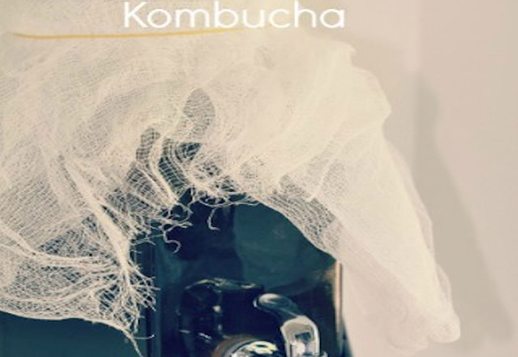 Kombucha