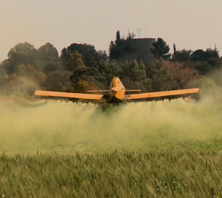 Do you need to eliminate gluten completely?