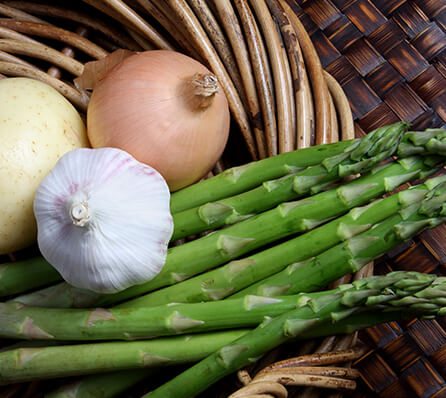 Importance of Eating Prebiotic Foods for Optimal Digestion