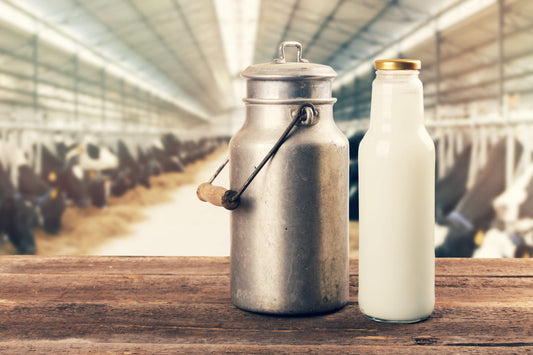 fresh milk