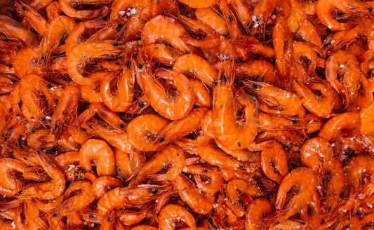 Seafood & Sustainability