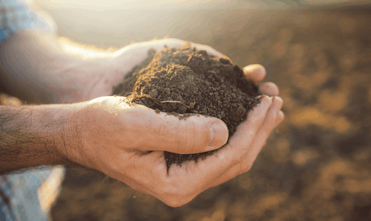 Soil Minerals