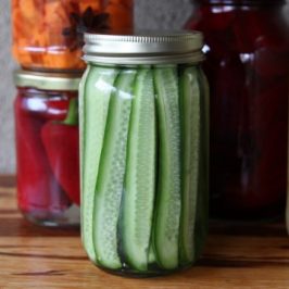 Probiotic Fermenting Pack