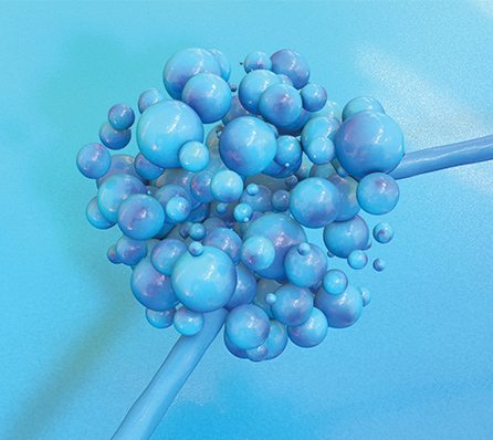 Signs You Might Have Candida and What You Can Do About It [Updated 2018]