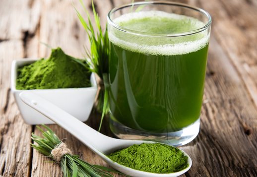 Why Are the Fat Loss Protocol Supplements So Important?