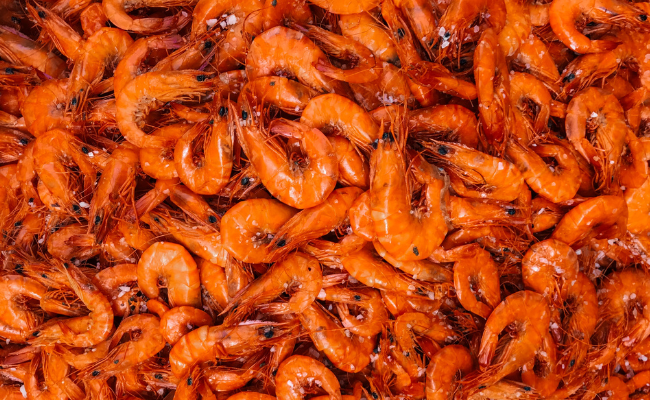 Seafood & Sustainability