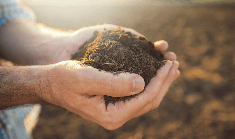 Soil Minerals