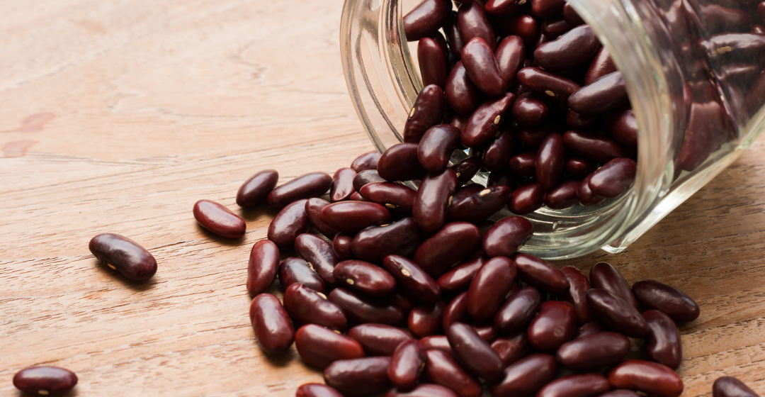 lectins-the-fat-loss-protocol