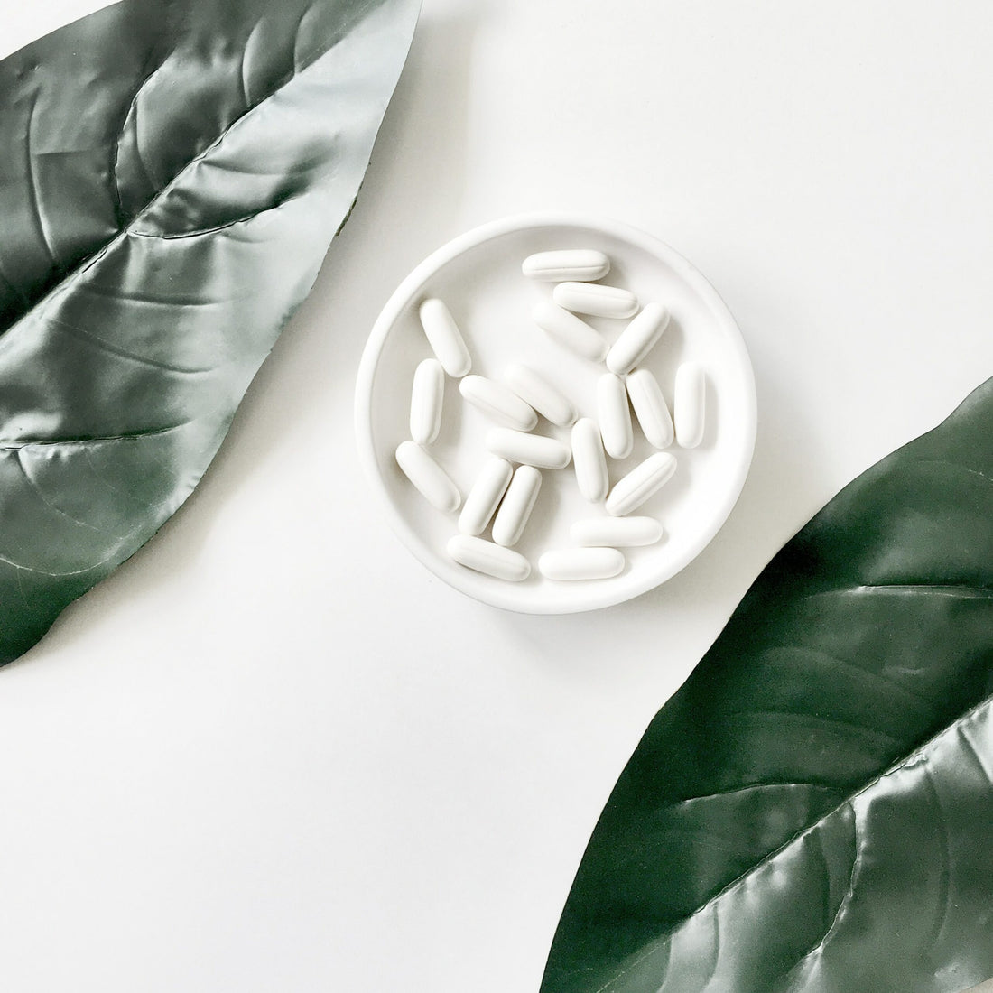 Probiotics 101: How to Help Your Microbiome